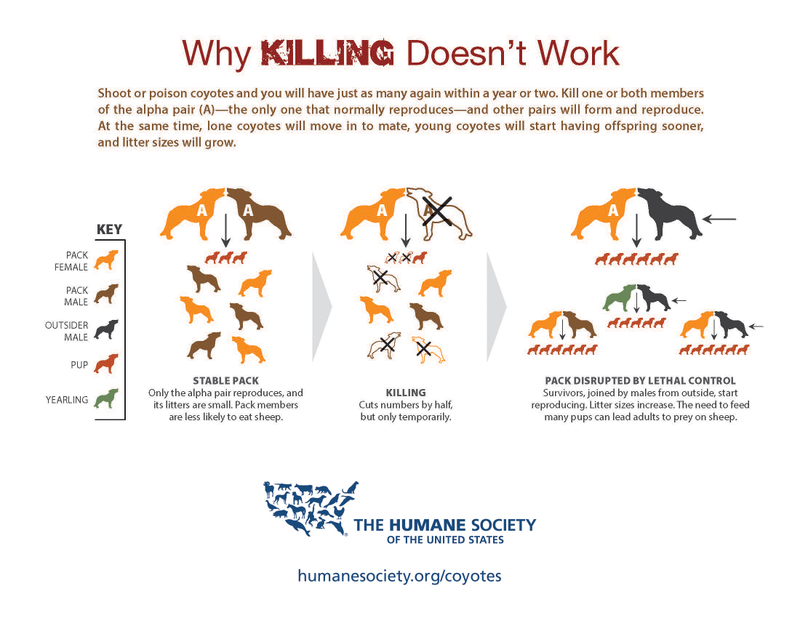 The Humane Society
